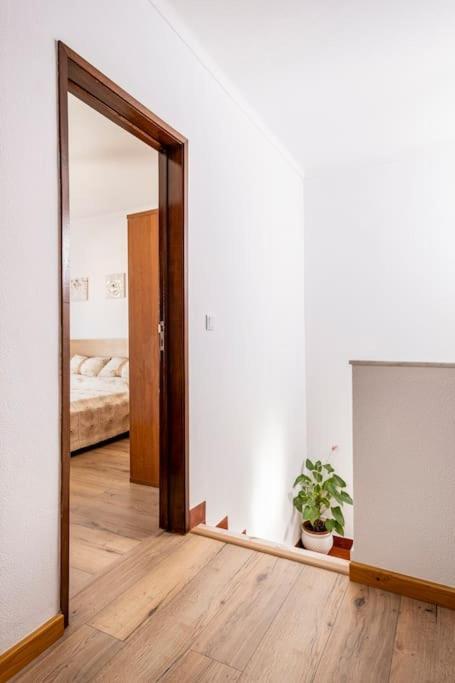 Casa Alto Da Serra سيسيمبرا المظهر الخارجي الصورة